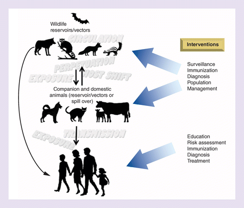 Why we can prevent, control and possibly treat – but will not eradicate –  rabies | Future Virology