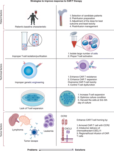 Chimeric antigen receptor T cells immunotherapy: challenges and  opportunities in hematological malignancies